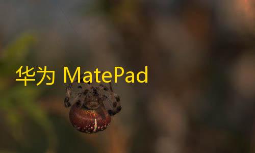 科技开挂器(免费)华为 MatePad Pro 12.2：卓越性能与创新体验的完美融合
